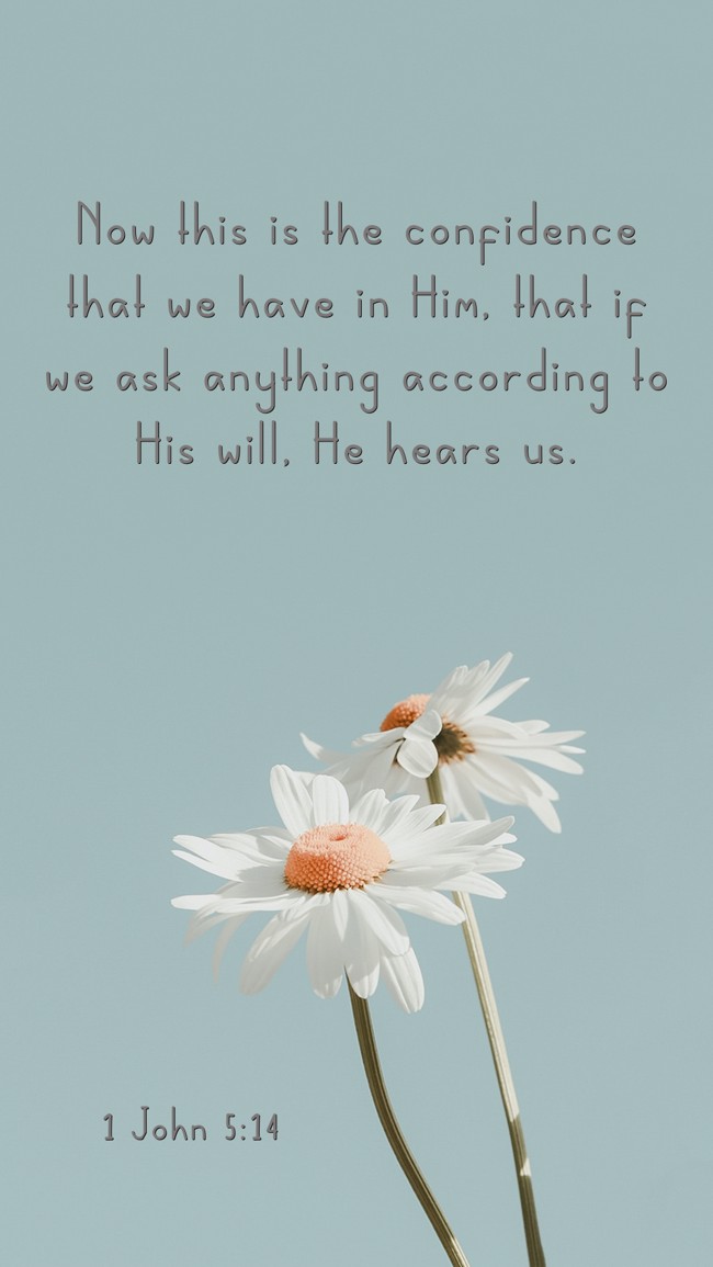 Now this is the confidence that we have in Him, that if we ask anything according to His will, He hears us. - 1 John 5:14