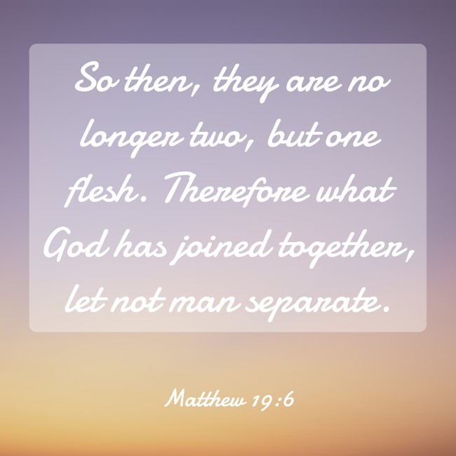 So then, they are no longer two, but one flesh. Therefore what God has joined together, let not man separate. - Matthew 19:6