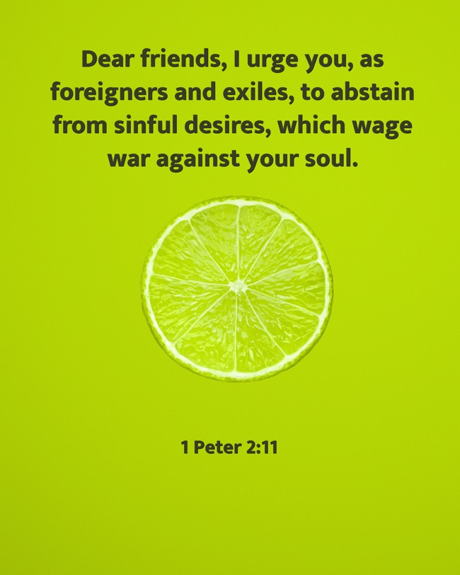 Dear friends, I urge you, as foreigners and exiles, to abstain from sinful desires, which wage war against your soul. - 1 Peter 2:11