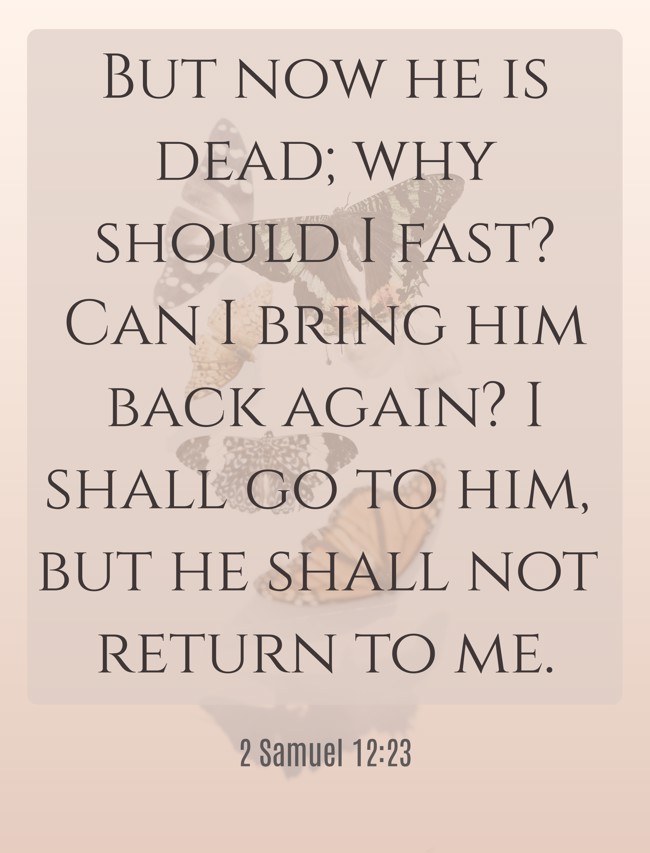  But now he is dead; why should I fast? Can I bring him back again? I shall go to him, but he shall not return to me.   - 2 Samuel 12:23 