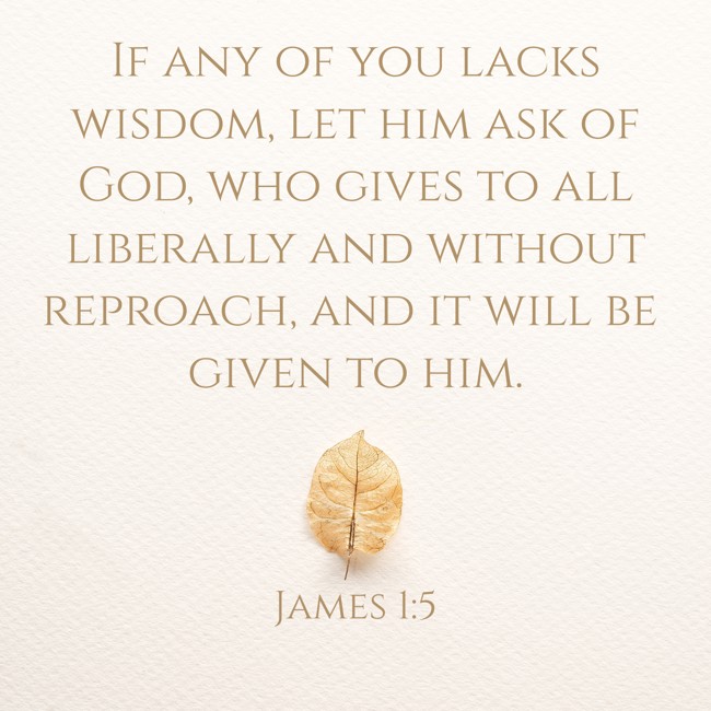 If any of you lacks wisdom, let him ask of God, who gives to all liberally and without reproach, and it will be given to him. - James 1:5