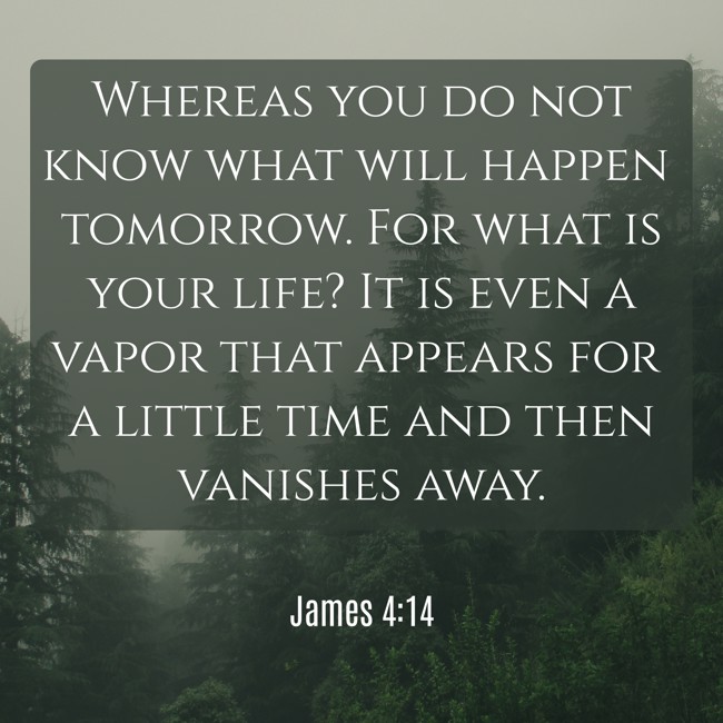  Whereas you do not know what will happen tomorrow. For what is your life? It is even a vapor that appears for a little time and then vanishes away.   - James 4:14 