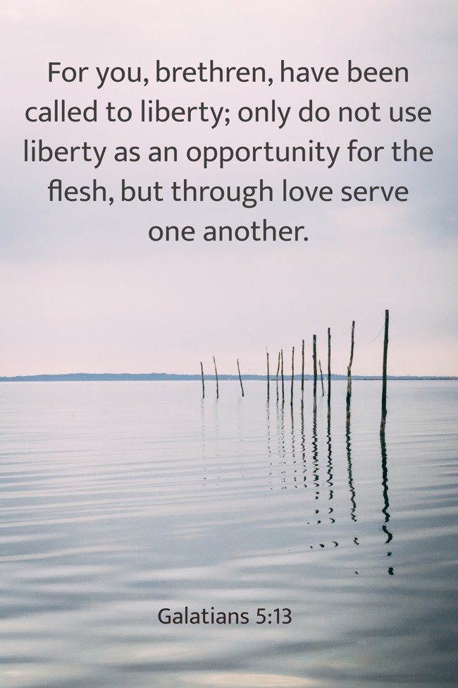 For you, brethren, have been called to liberty; only do not use liberty as an opportunity for the flesh, but through love serve one another. - Galatians 5:13