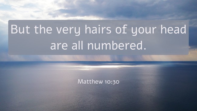  But the very hairs of your head are all numbered.   - Matthew 10:30 