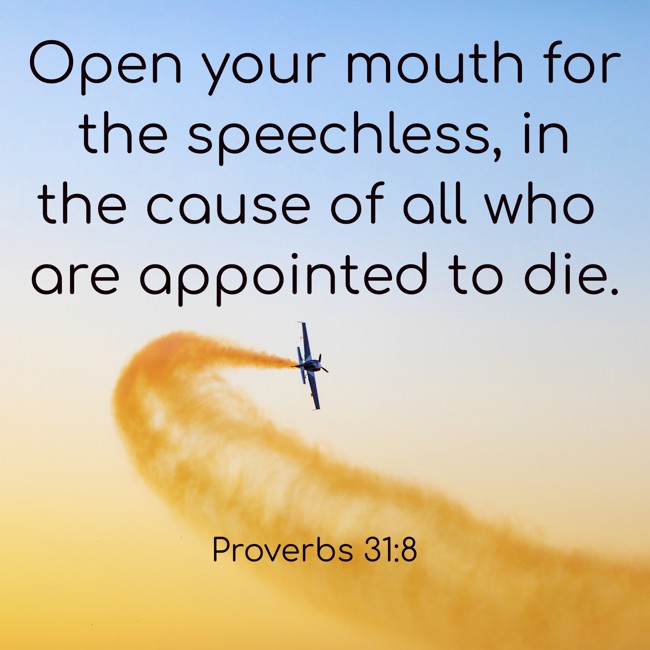 Open your mouth for the speechless, in the cause of all who are appointed to die. - Proverbs 31:8
