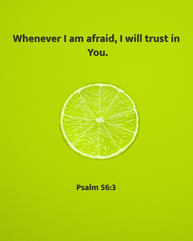  Whenever I am afraid, I will trust in You.   - Psalm 56:3 