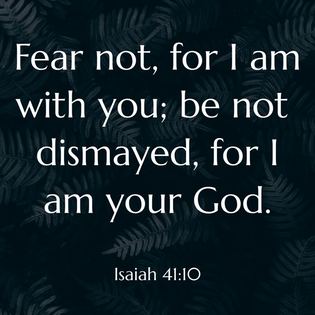 Fear not, for I am with you; be not dismayed, for I am your God. - Isaiah 41:10
