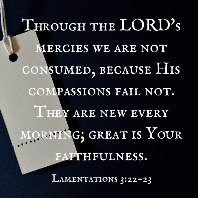  Through the LORD's mercies we are not consumed, because His compassions fail not. They are new every morning; great is Your faithfulness.   - Lamentations 3:22-23 