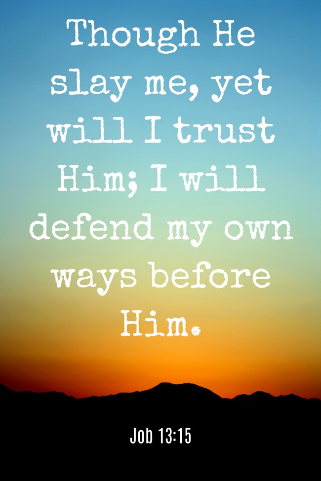  Though He slay me, yet will I trust Him; I will defend my own ways before Him.   - Job 13:15 