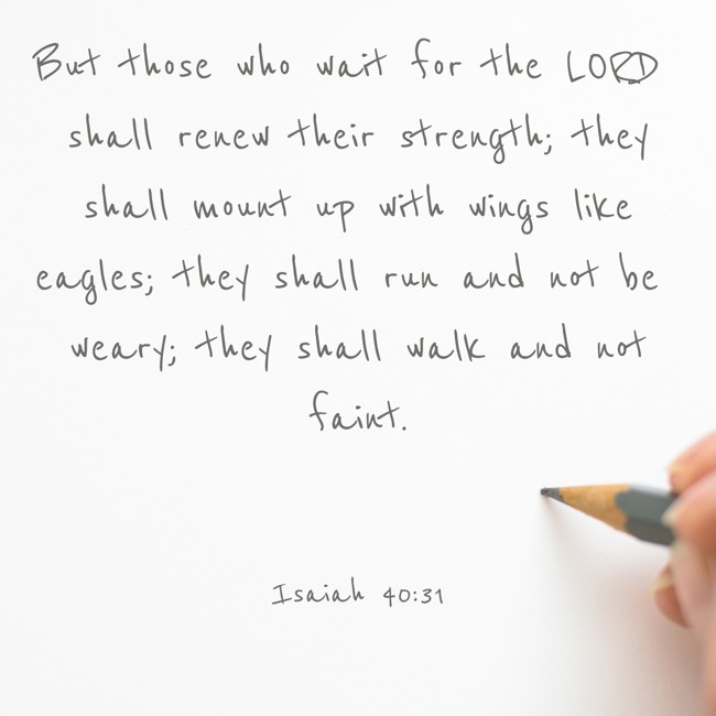 But those who wait for the LORD shall renew their strength; they shall mount up with wings like eagles; they shall run and not be weary; they shall walk and not faint. - Isaiah 40:31