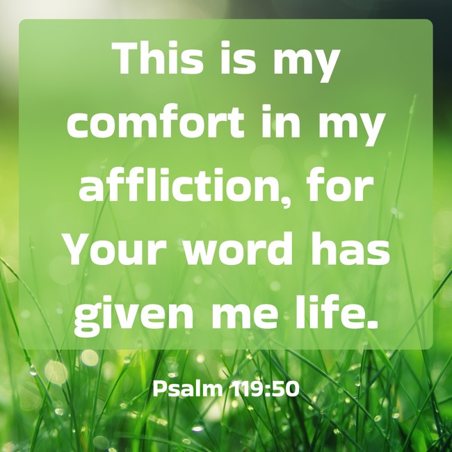  This is my comfort in my affliction, for Your word has given me life.   - Psalm 119:50 