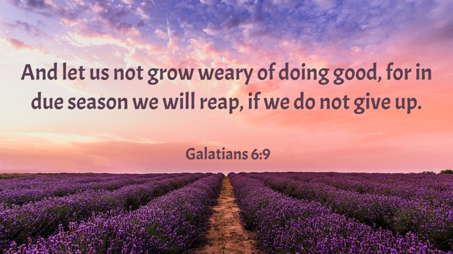 And let us not grow weary of doing good, for in due season we will reap, if we do not give up. - Galatians 6:9