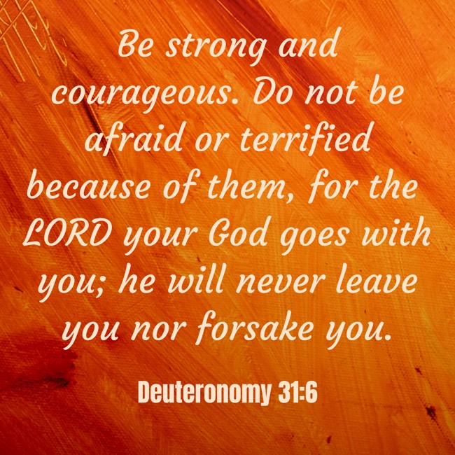 Be strong and courageous. Do not be afraid or terrified because of them, for the LORD your God goes with you; he will never leave you nor forsake you. - Deuteronomy 31:6