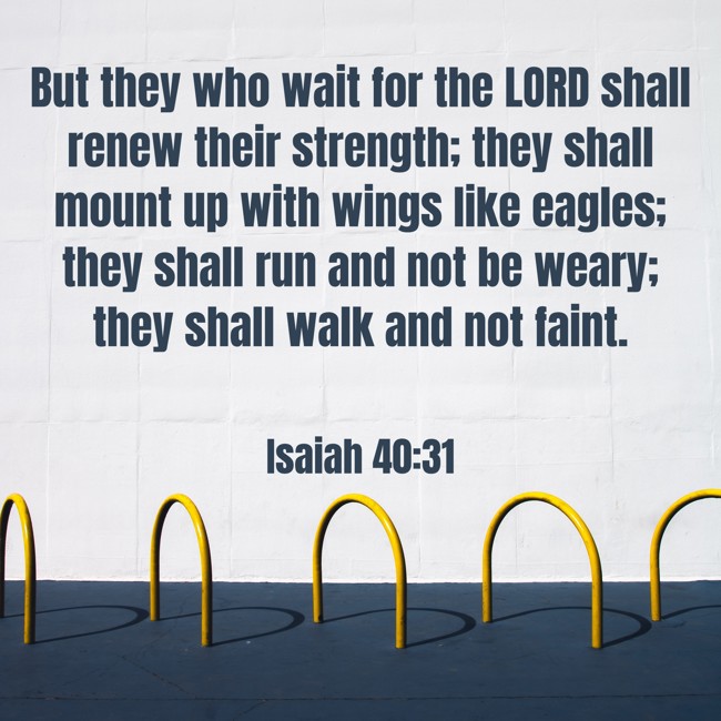 But they who wait for the LORD shall renew their strength; they shall mount up with wings like eagles; they shall run and not be weary; they shall walk and not faint. - Isaiah 40:31