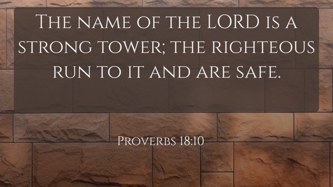  The name of the LORD is a strong tower; the righteous run to it and are safe.   - Proverbs 18:10 