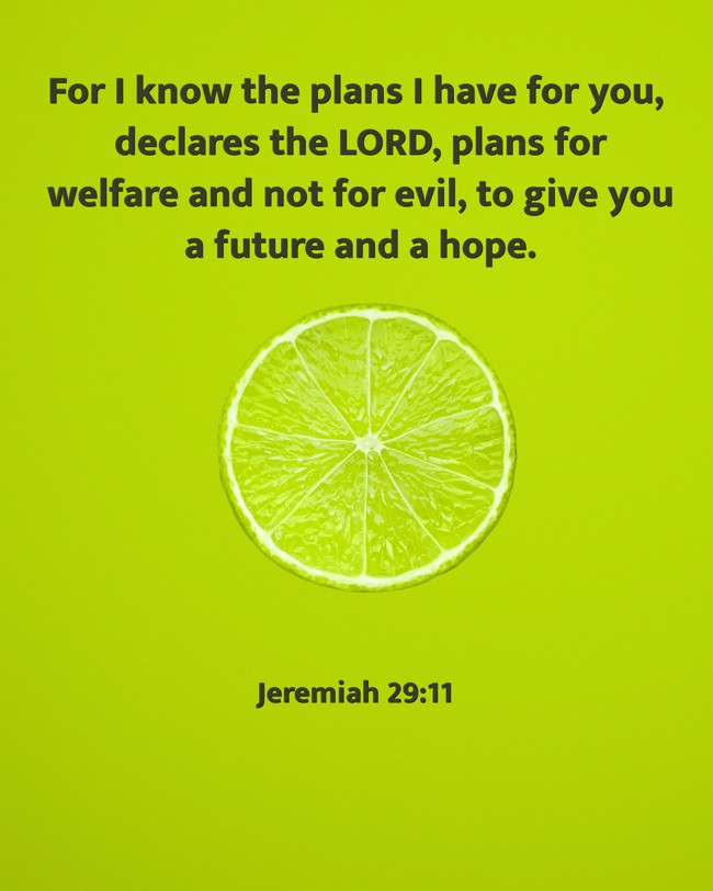 For I know the plans I have for you, declares the LORD, plans for welfare and not for evil, to give you a future and a hope. - Jeremiah 29:11