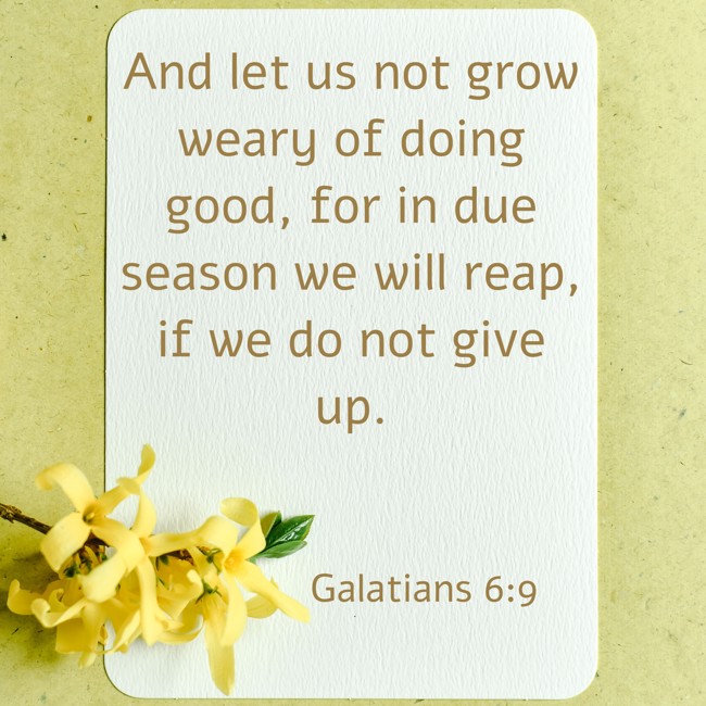 And let us not grow weary of doing good, for in due season we will reap, if we do not give up. - Galatians 6:9