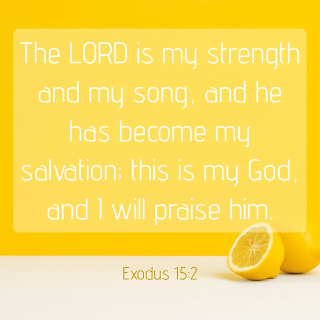 The LORD is my strength and my song, and he has become my salvation; this is my God, and I will praise him. - Exodus 15:2
