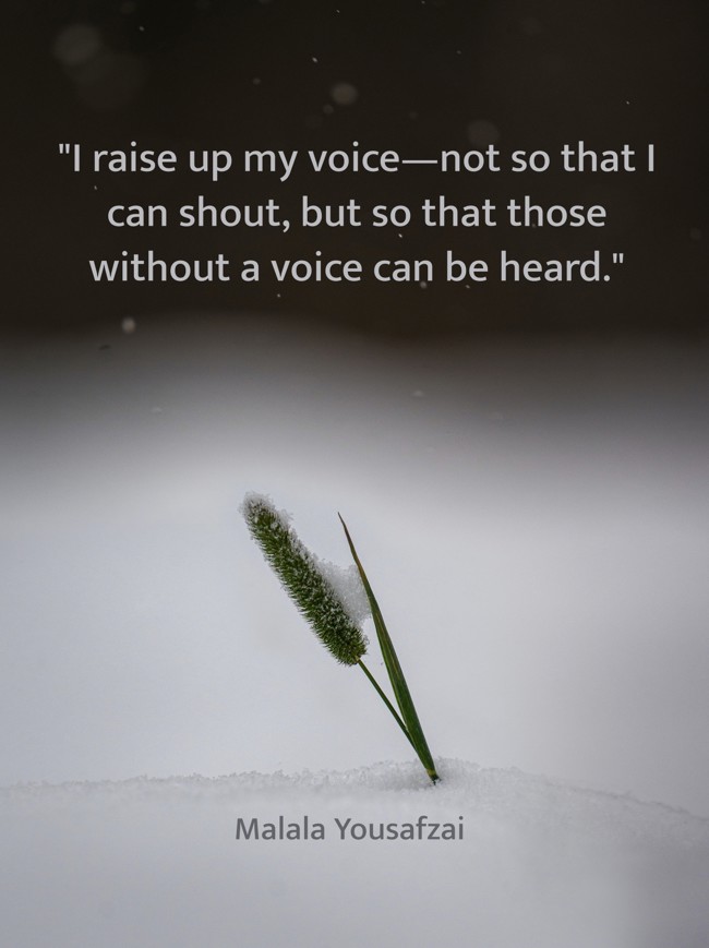 I raise up my voice—not so that I can shout, but so that those without a voice can be heard. - Malala Yousafzai