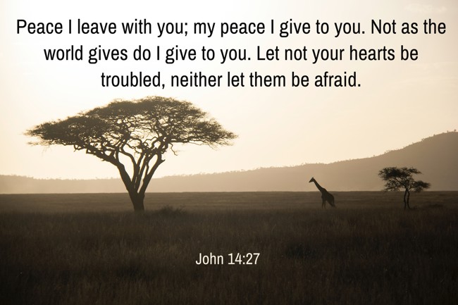 Peace I leave with you; my peace I give to you. Not as the world gives do I give to you. Let not your hearts be troubled, neither let them be afraid. - John 14:27