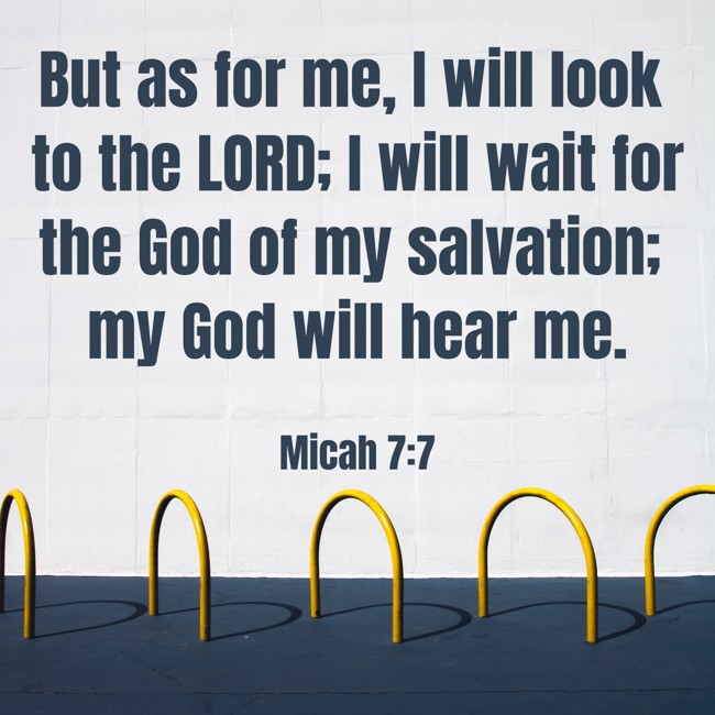 But as for me, I will look to the LORD; I will wait for the God of my salvation; my God will hear me. - Micah 7:7
