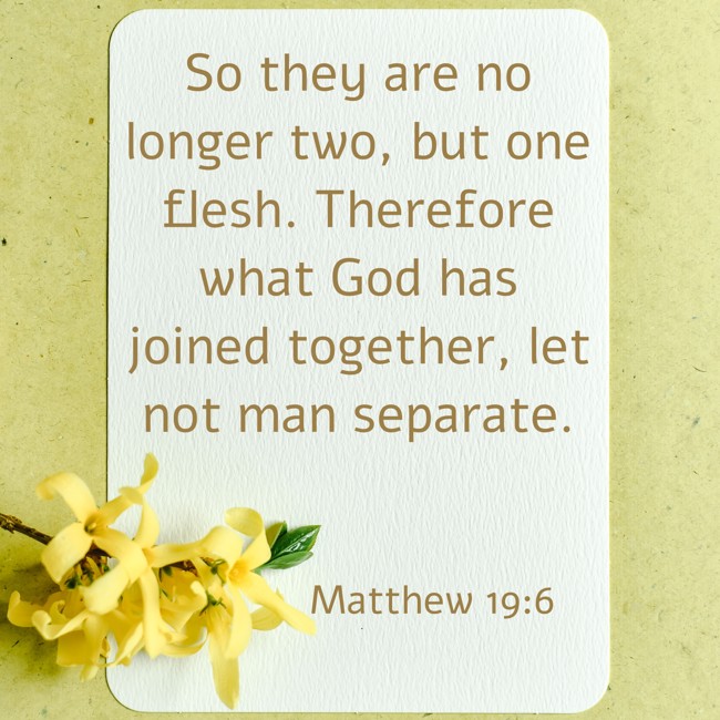 So they are no longer two, but one flesh. Therefore what God has joined together, let not man separate. - Matthew 19:6
