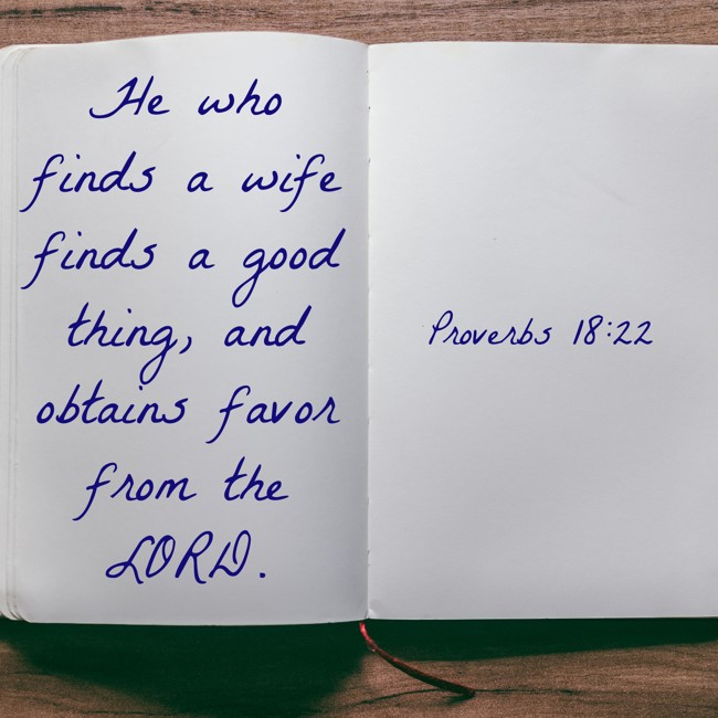 He who finds a wife finds a good thing, and obtains favor from the LORD. - Proverbs 18:22