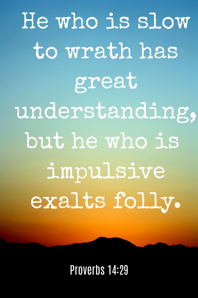 He who is slow to wrath has great understanding, but he who is impulsive exalts folly. - Proverbs 14:29