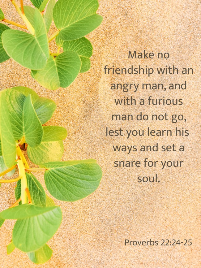 Make no friendship with an angry man, and with a furious man do not go, lest you learn his ways and set a snare for your soul. - Proverbs 22:24-25