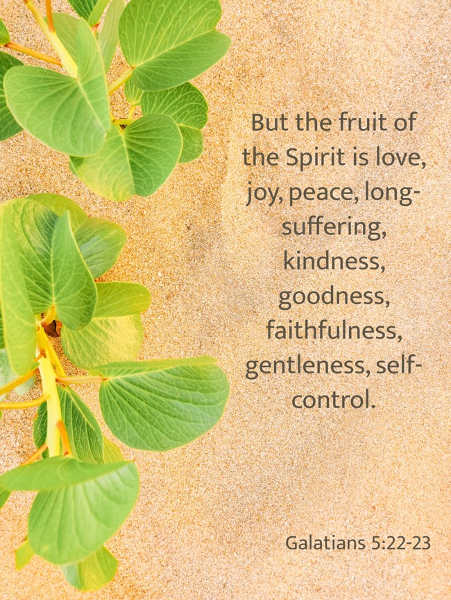 But the fruit of the Spirit is love, joy, peace, long-suffering, kindness, goodness, faithfulness, gentleness, self-control. - Galatians 5:22-23
