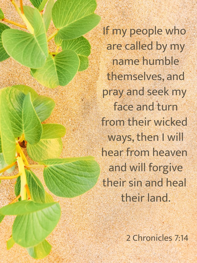 If my people who are called by my name humble themselves, and pray and seek my face and turn from their wicked ways, then I will hear from heaven and will forgive their sin and heal their land. - 2 Chronicles 7:14