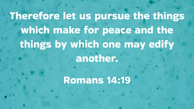 Therefore let us pursue the things which make for peace and the things by which one may edify another. - Romans 14:19