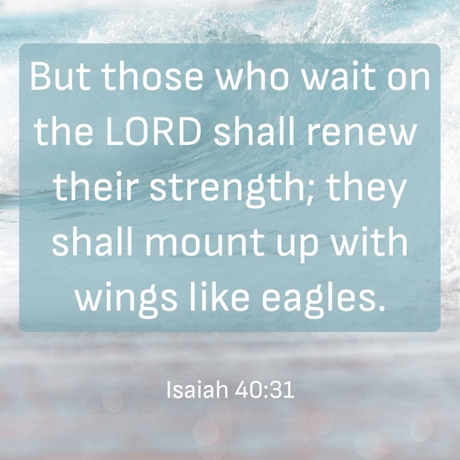 But those who wait on the LORD shall renew their strength; they shall mount up with wings like eagles. - Isaiah 40:31