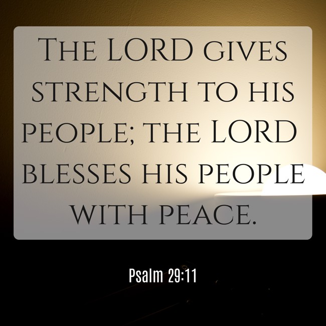 The LORD gives strength to his people; the LORD blesses his people with peace. - Psalm 29:11