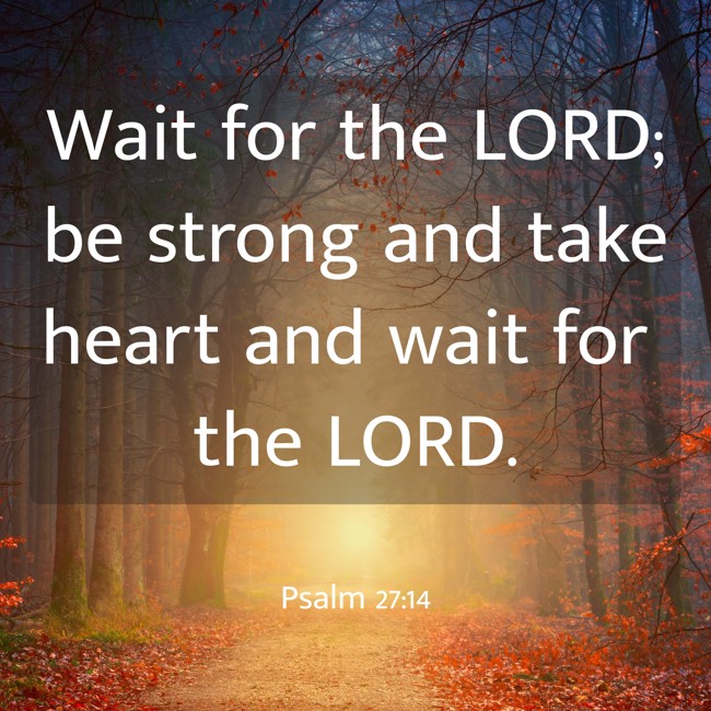 Wait for the LORD; be strong and take heart and wait for the LORD. - Psalm 27:14