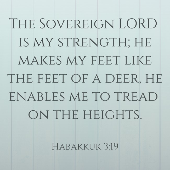 The Sovereign LORD is my strength; he makes my feet like the feet of a deer, he enables me to tread on the heights. - Habakkuk 3:19
