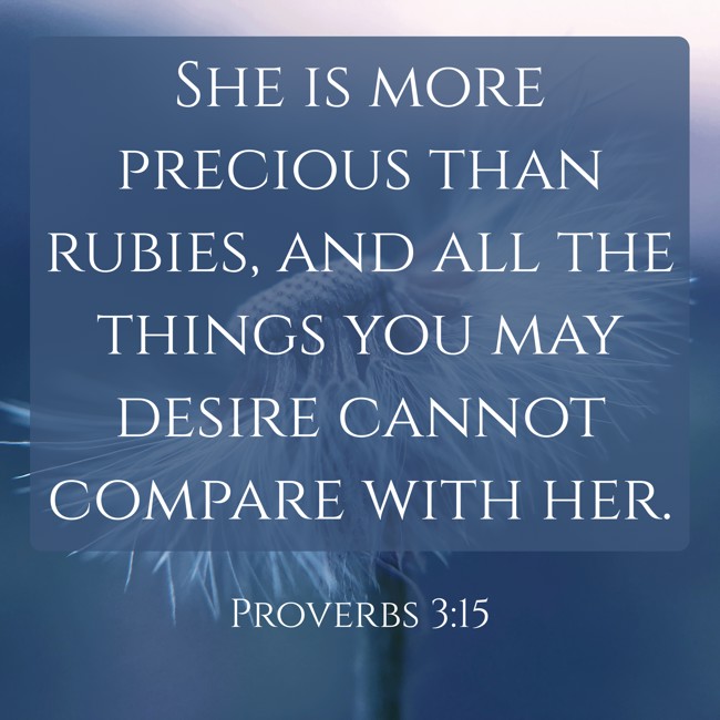 She is more precious than rubies, and all the things you may desire cannot compare with her. - Proverbs 3:15