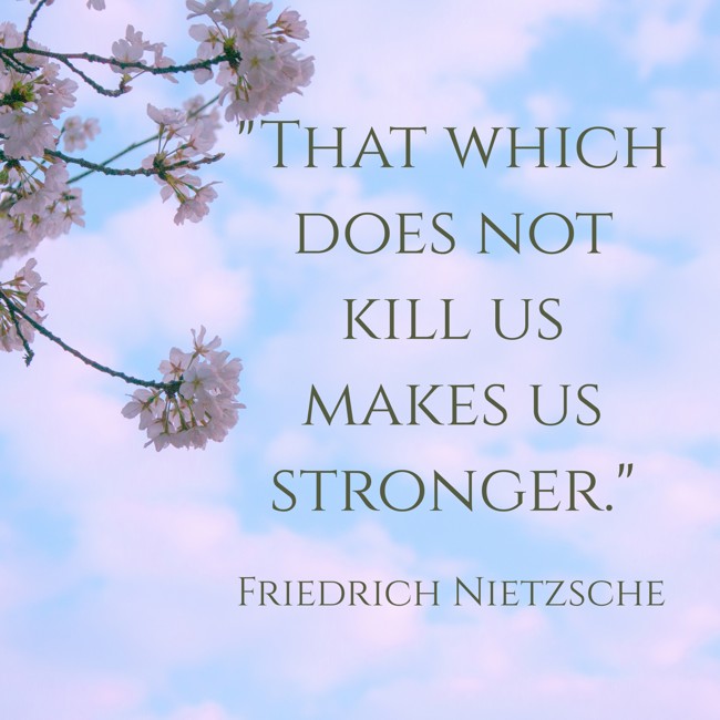 That which does not kill us makes us stronger. - Friedrich Nietzsche
