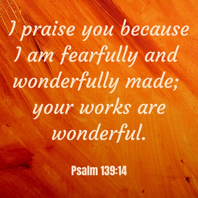 I praise you because I am fearfully and wonderfully made; your works are wonderful. - Psalm 139:14