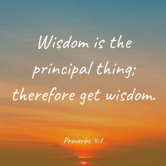 Wisdom is the principal thing; therefore get wisdom. - Proverbs 4:7