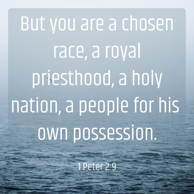 But you are a chosen race, a royal priesthood, a holy nation, a people for his own possession. - 1 Peter 2:9