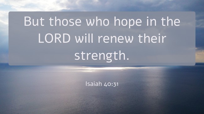 But those who hope in the LORD will renew their strength. - Isaiah 40:31