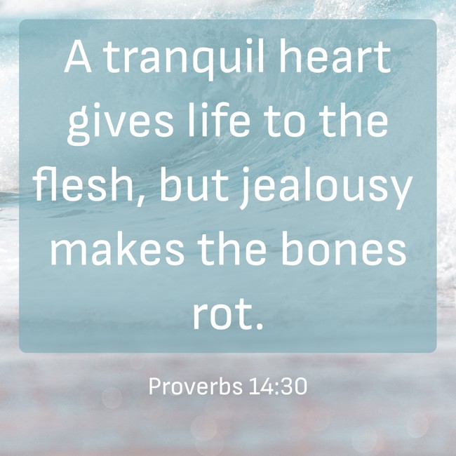 A tranquil heart gives life to the flesh, but jealousy makes the bones rot. - Proverbs 14:30