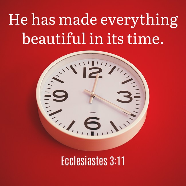 He has made everything beautiful in its time. - Ecclesiastes 3:11