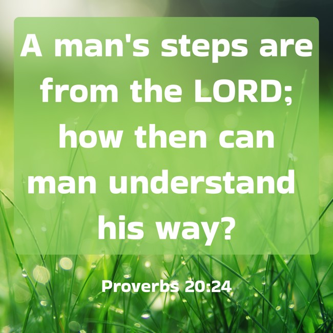 A man's steps are from the LORD; how then can man understand his way? - Proverbs 20:24