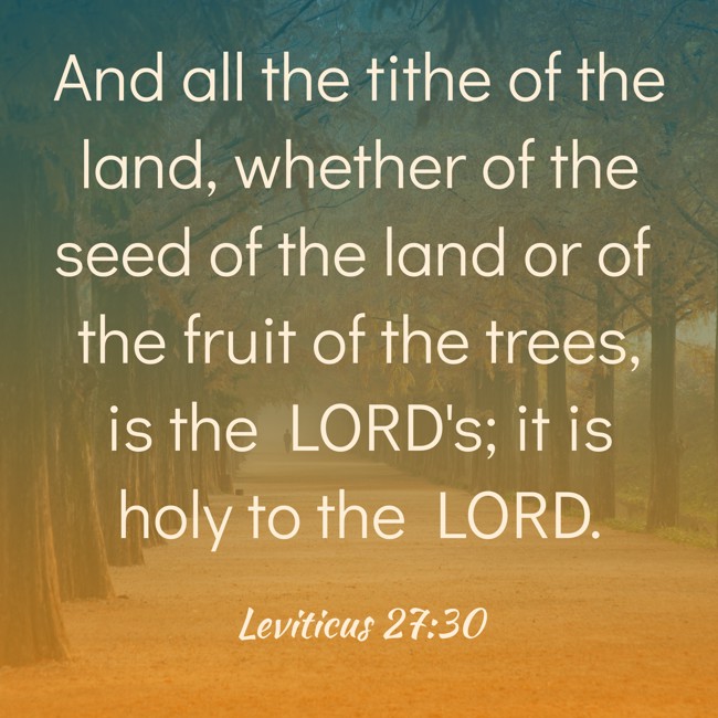 And all the tithe of the land, whether of the seed of the land or of the fruit of the trees, is the LORD's; it is holy to the LORD. - Leviticus 27:30