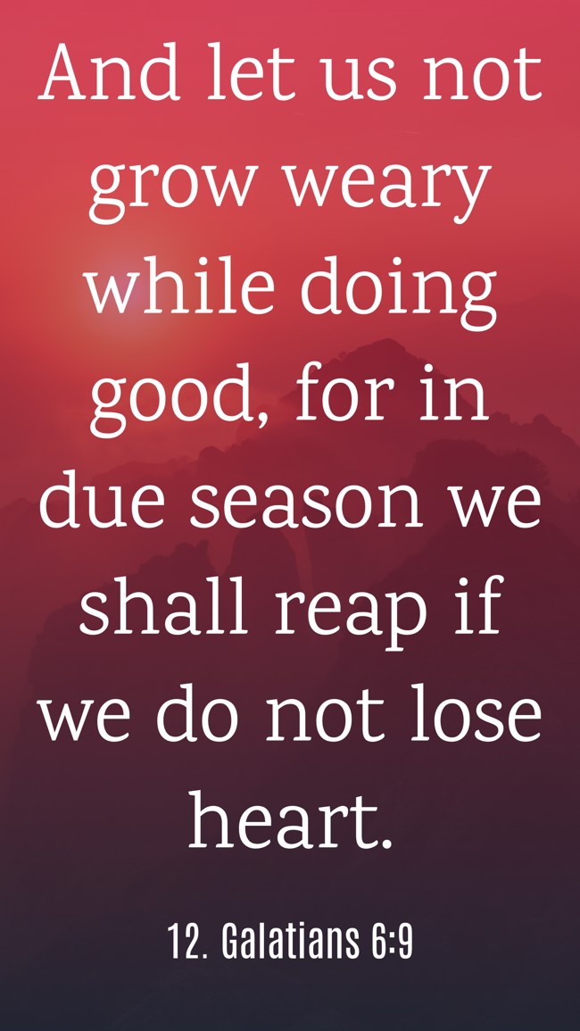And let us not grow weary while doing good, for in due season we shall reap if we do not lose heart. - 12. Galatians 6:9