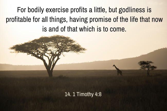 For bodily exercise profits a little, but godliness is profitable for all things, having promise of the life that now is and of that which is to come. - 14. 1 Timothy 4:8