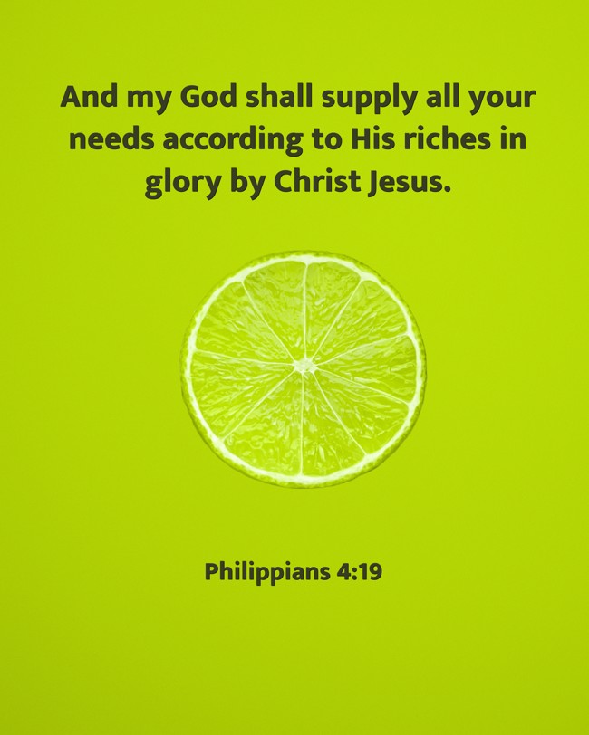 And my God shall supply all your needs according to His riches in glory by Christ Jesus. - Philippians 4:19