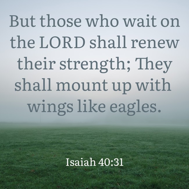 But those who wait on the LORD shall renew their strength; They shall mount up with wings like eagles. - Isaiah 40:31